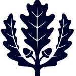 UCONN Oak Leaf Logo
